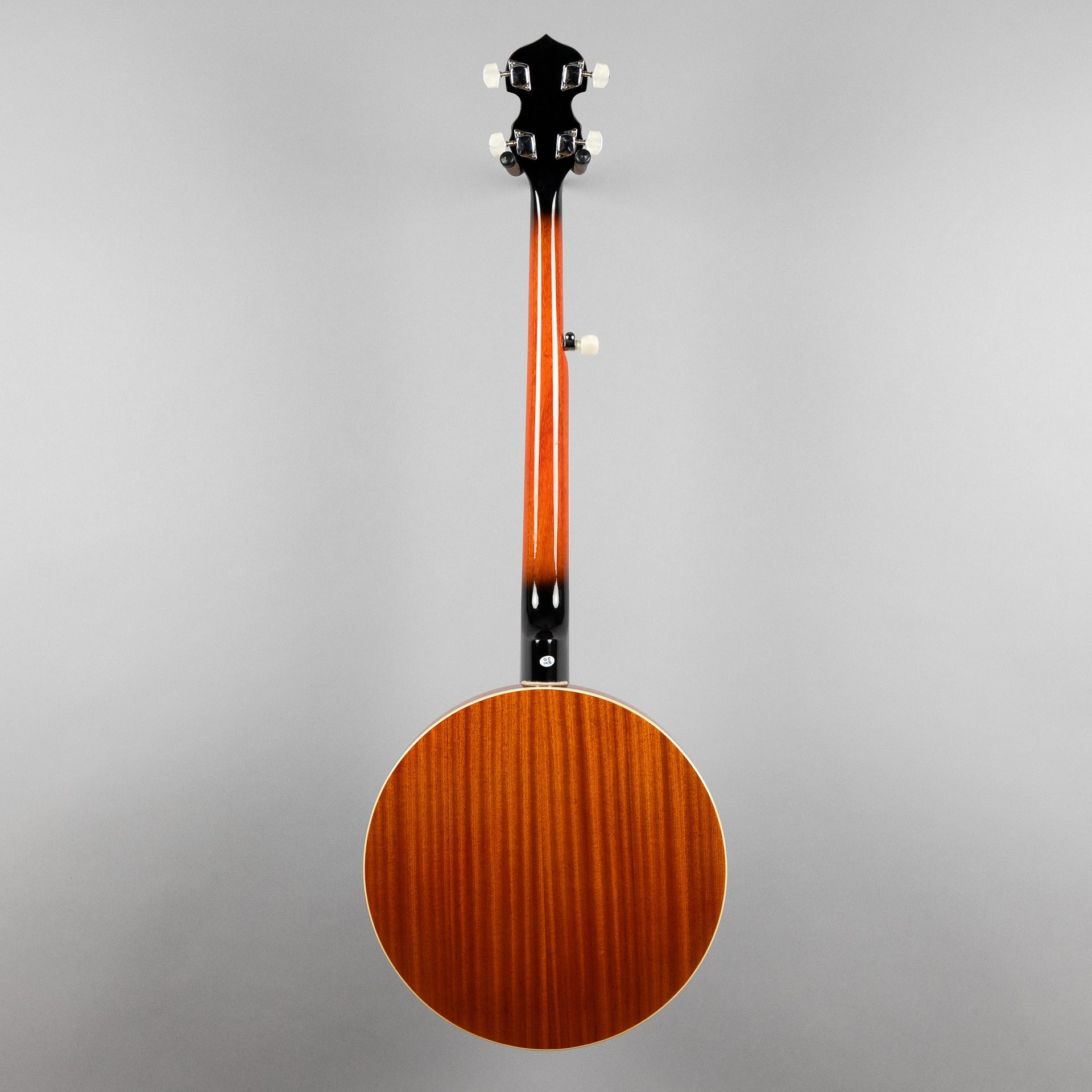 Danville BJ30 Banjo, 5-String