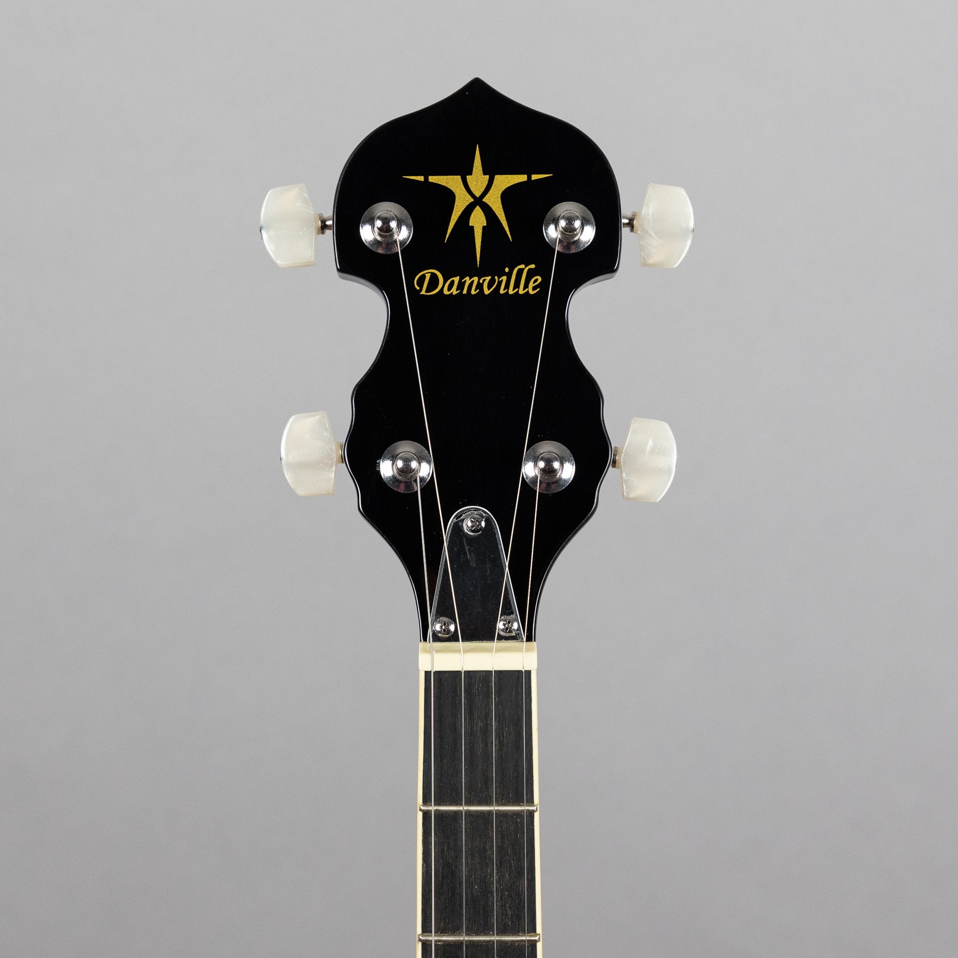 Danville BJ30 Banjo, 5-String – Carlton Music Center