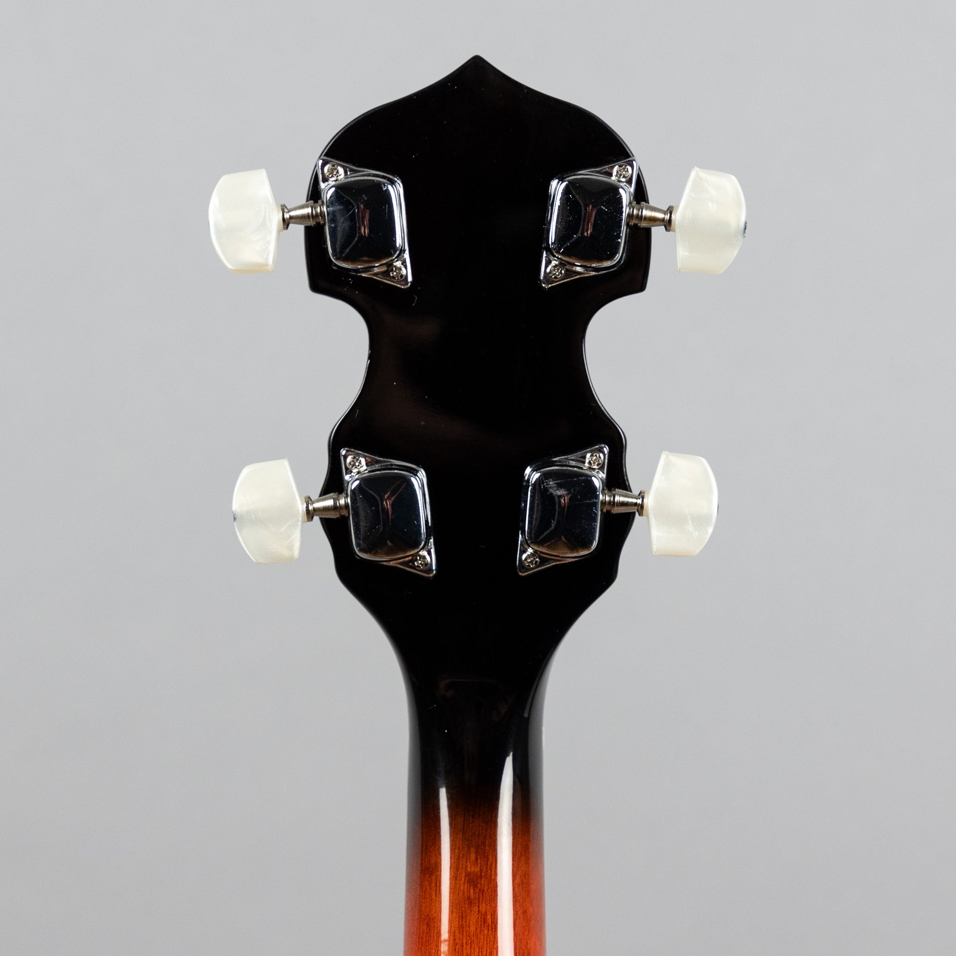 Danville BJ30 Banjo, 5-String – Carlton Music Center