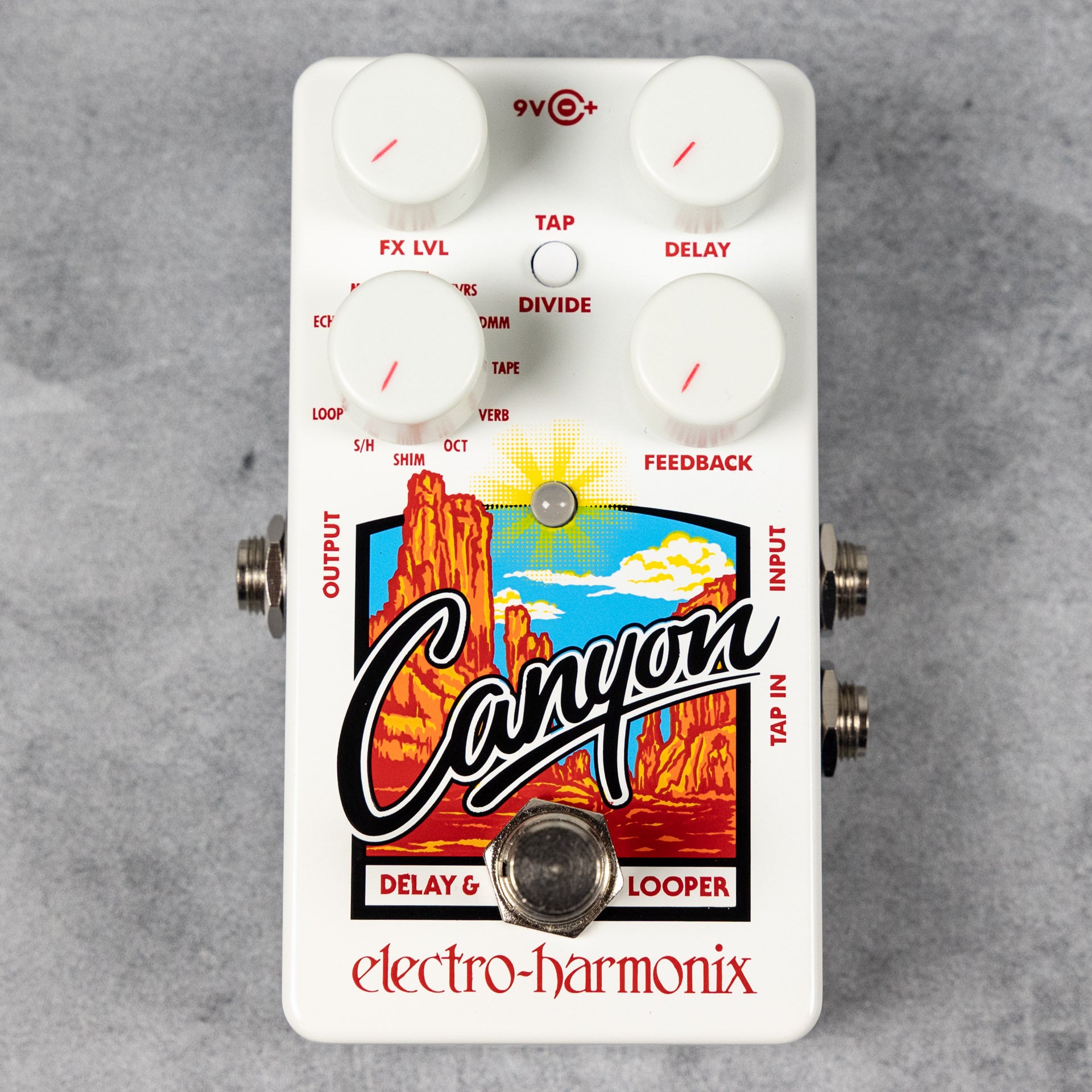 Electro-Harmonix Canyon Delay & Looper Pedal