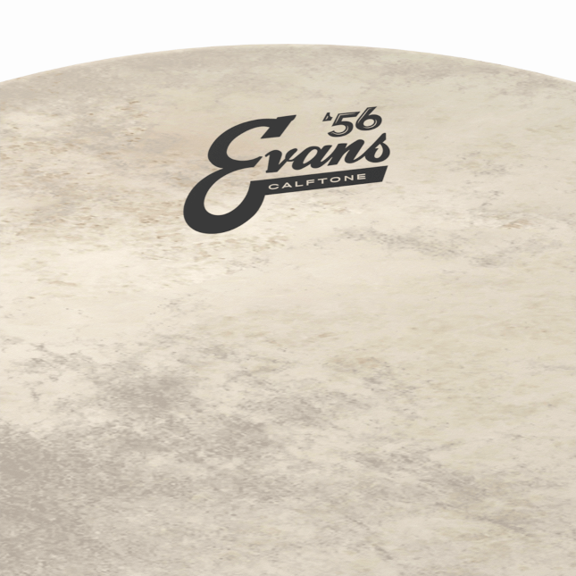 Evans Calftone Bass Batter Drumhead