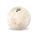 Evans Calftone Tom Batter Drumhead