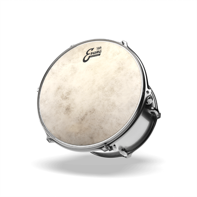 Evans Calftone Tom Batter Drumhead