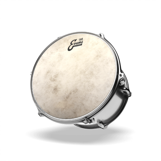 Evans Calftone Tom Batter Drumhead