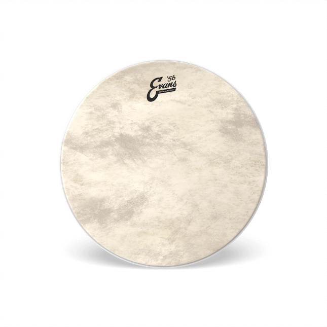 Evans EQ4 Calftone Bass Batter Drumhead