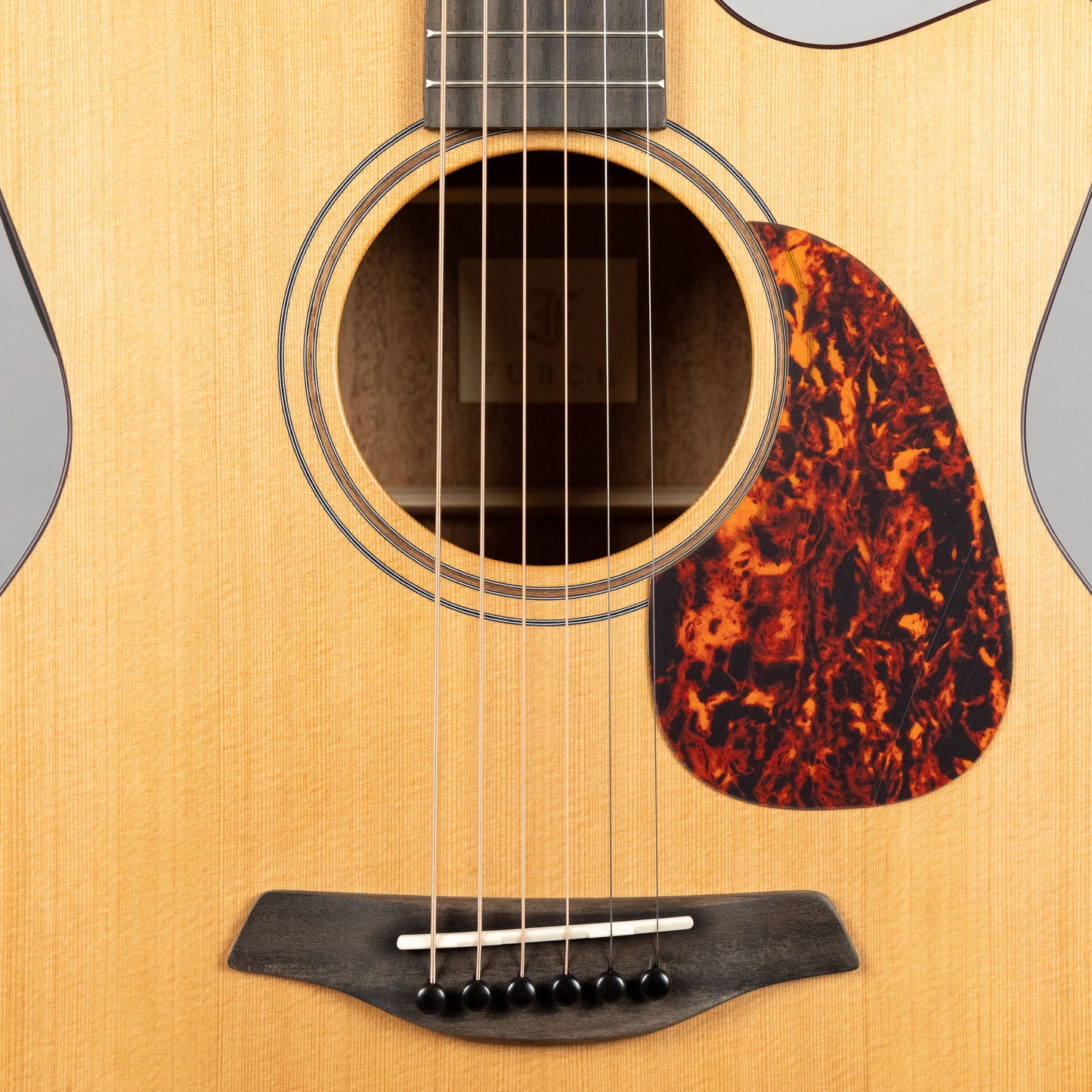 Furch Blue Gc-CM SPE Master's Choice Acoustic Guitar with Premium Gig Bag
