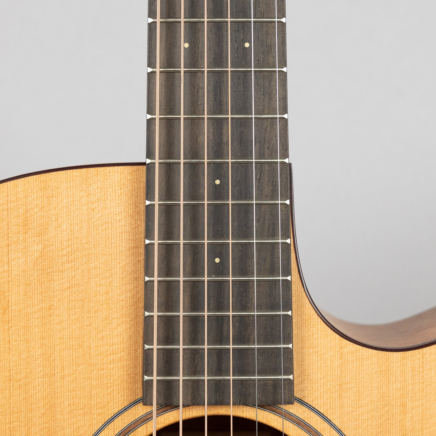 Furch Blue Gc-CM SPE Master's Choice Acoustic Guitar with Premium Gig Bag