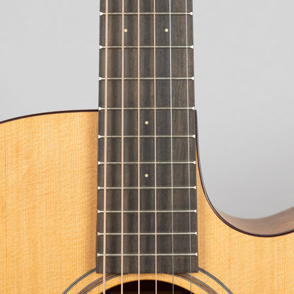 Furch Blue Gc-CM SPE Master's Choice Acoustic Guitar with Premium Gig Bag