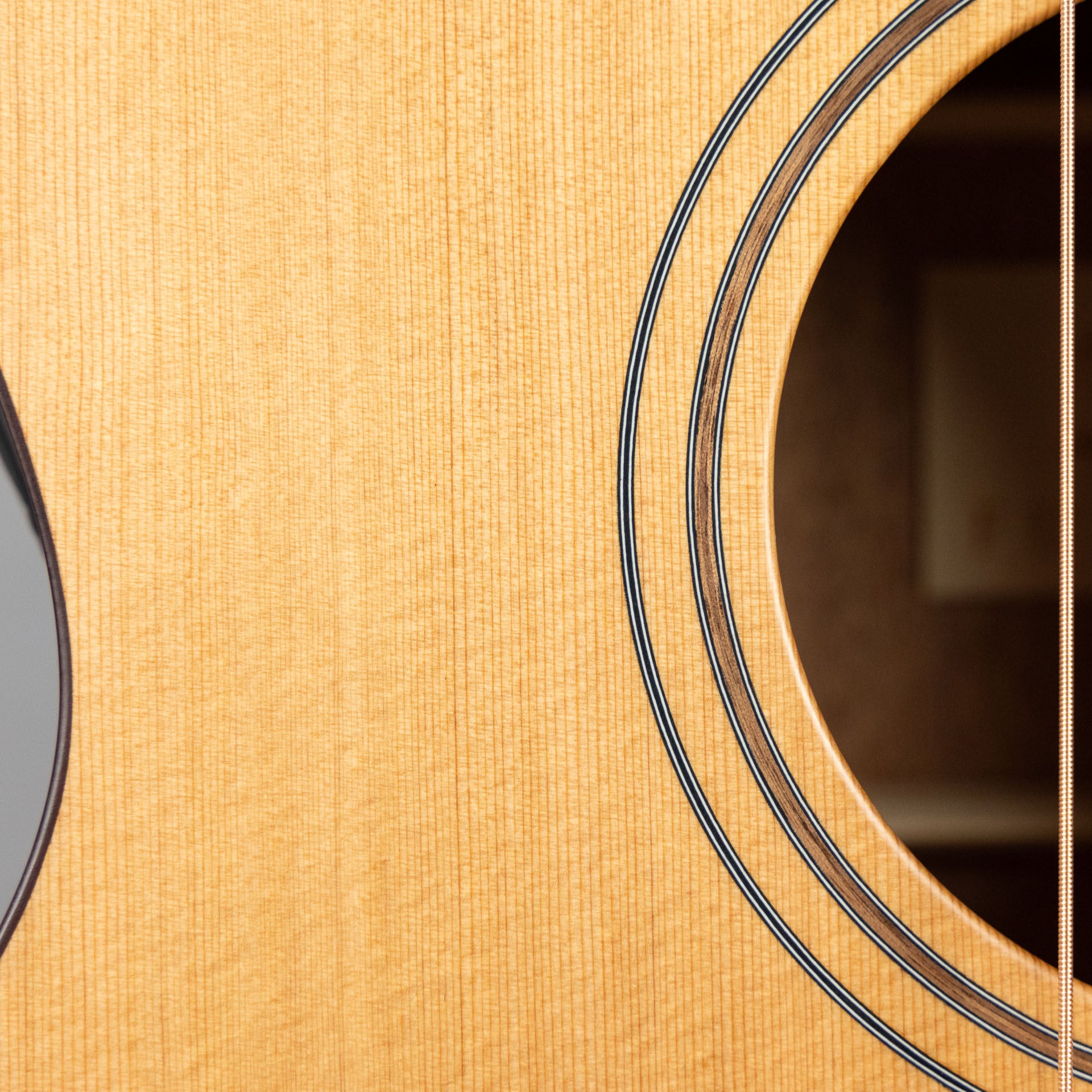 Furch Blue Gc-CM SPE Master's Choice Acoustic Guitar with Premium Gig Bag