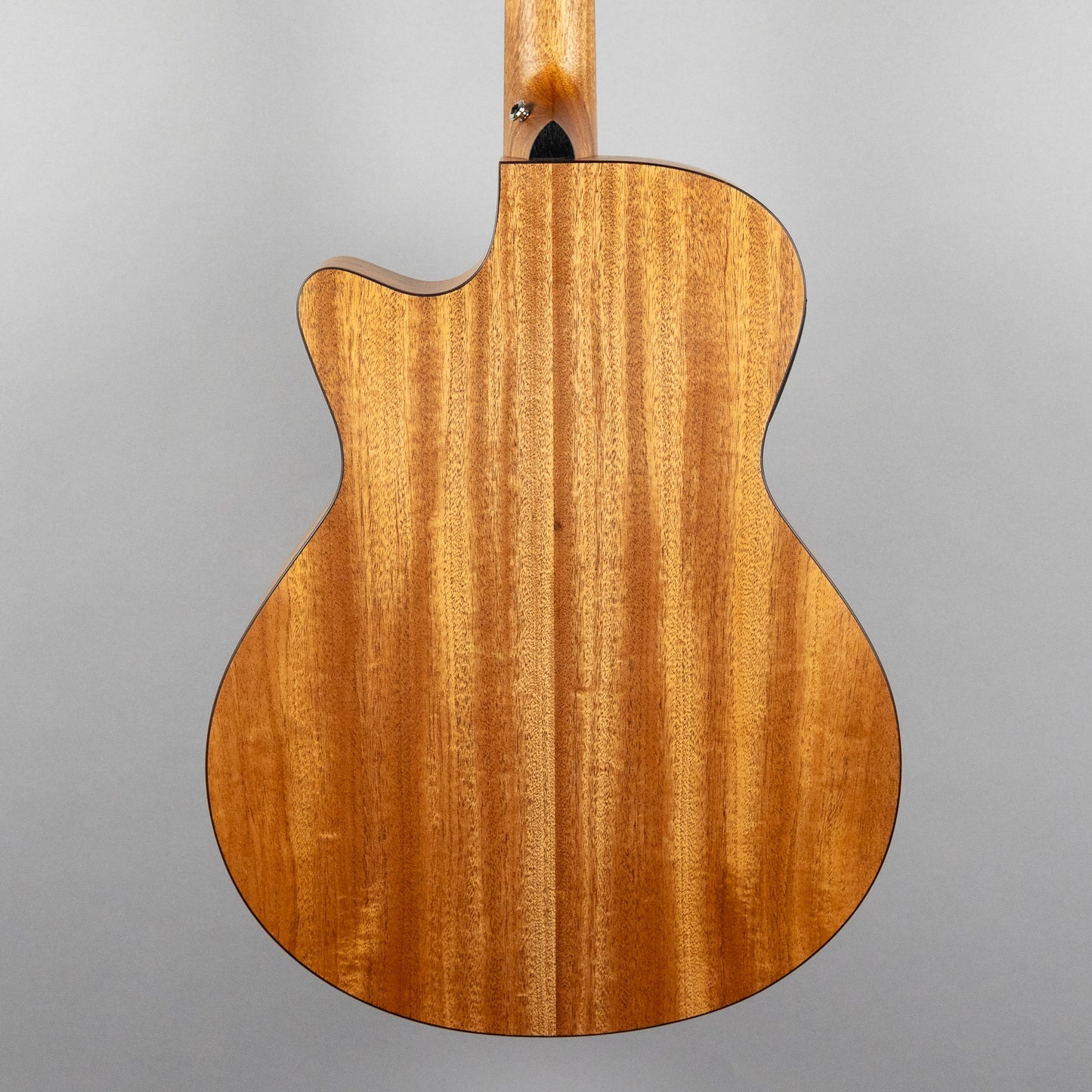 Furch Blue Gc-CM SPE Master's Choice Acoustic Guitar with Premium Gig Bag