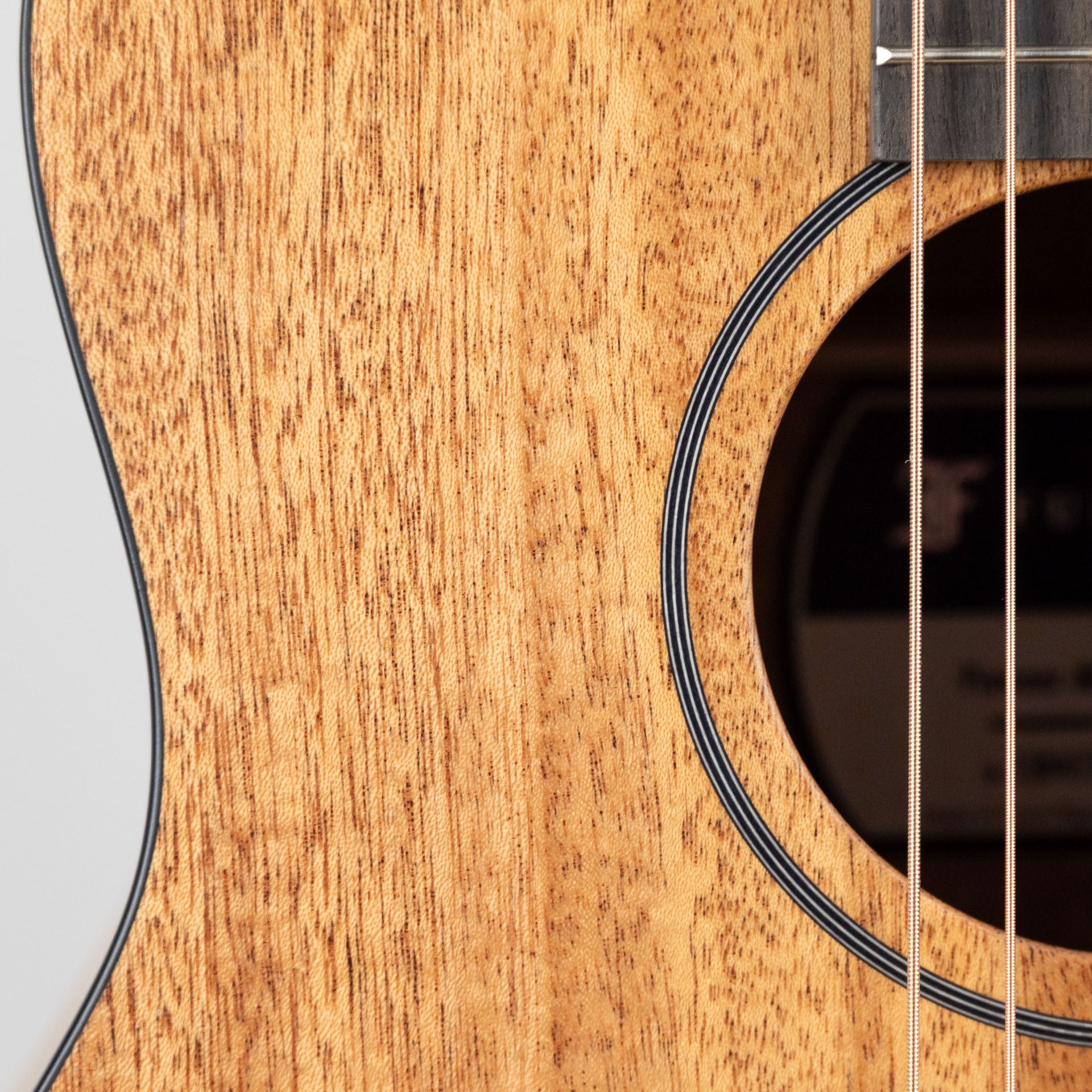 Furch Pioneer-MM a, African Mahogany / African Mahogany with Premium Gig Bag