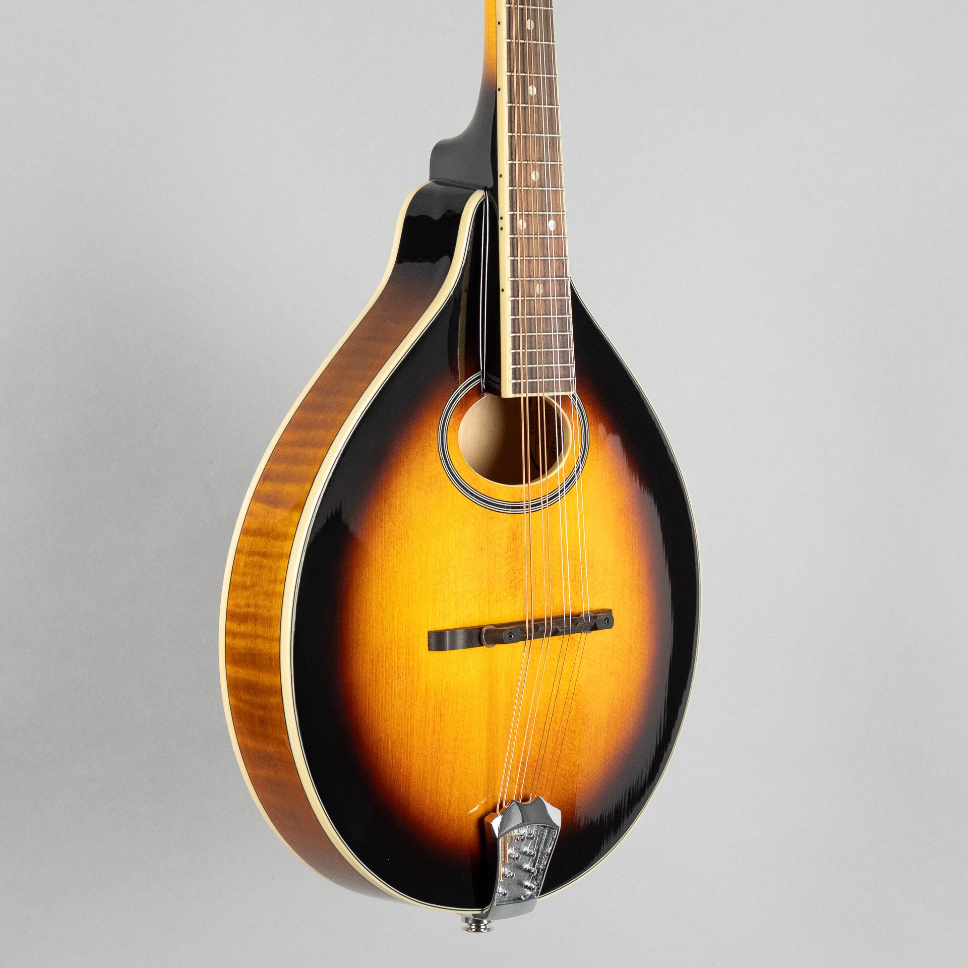 Gold Tone GM-50+ A-Style Mandolin w/Gig Bag