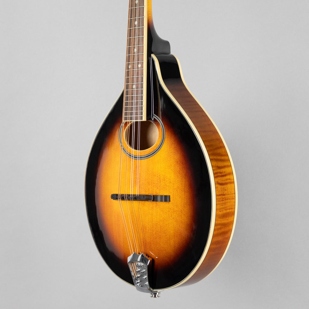 Gold Tone GM-50+ A-Style Mandolin w/Gig Bag
