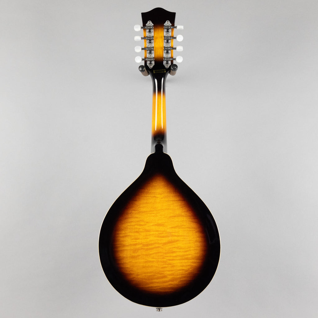 Gold Tone GM-50+ A-Style Mandolin w/Gig Bag