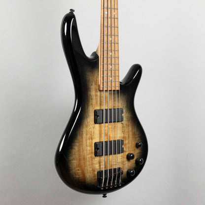 Ibanez GSR205SM GIO 5-String Bass in Natural Grey Burst