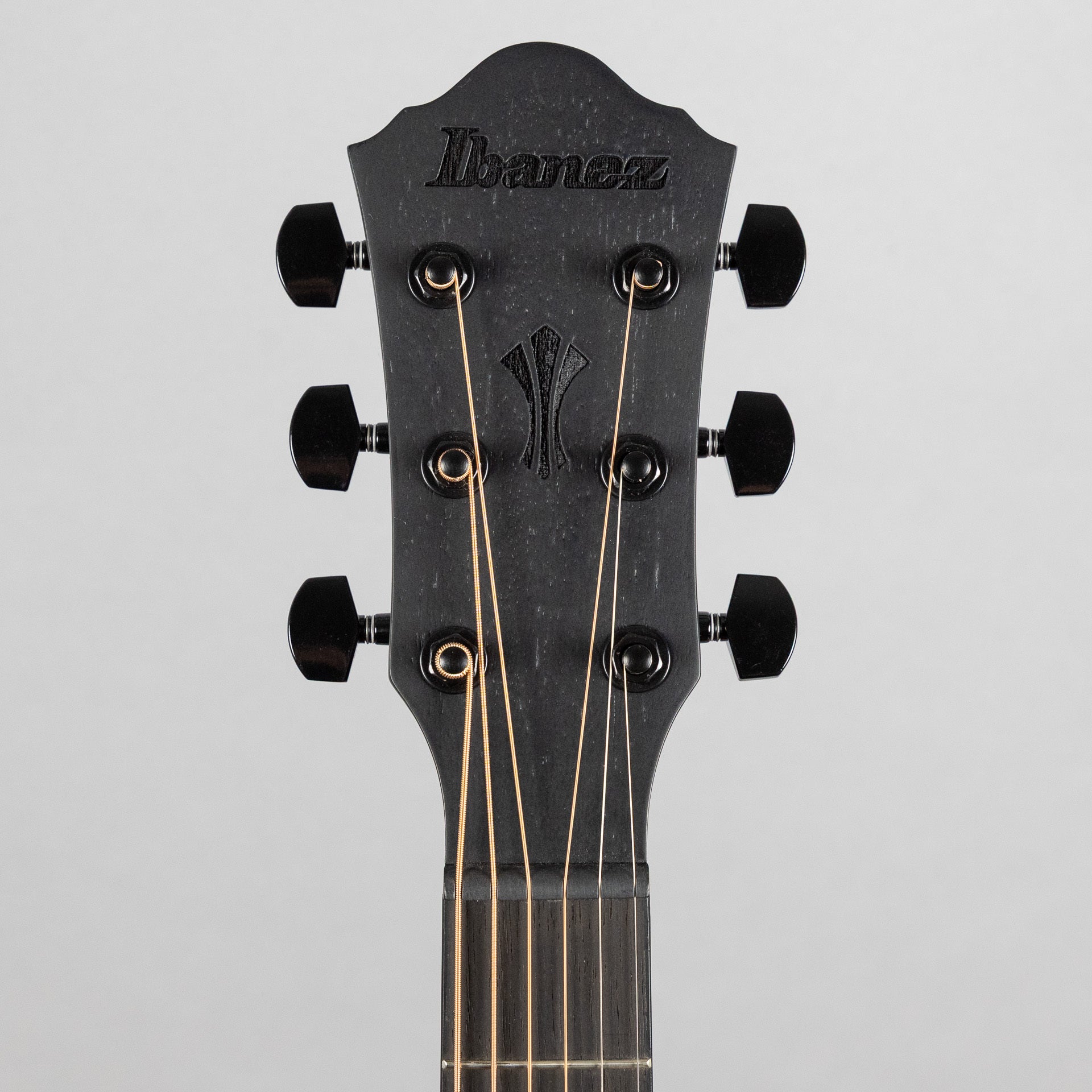 Ibanez AEG621 Acoustic Guitar, Black Out Finish