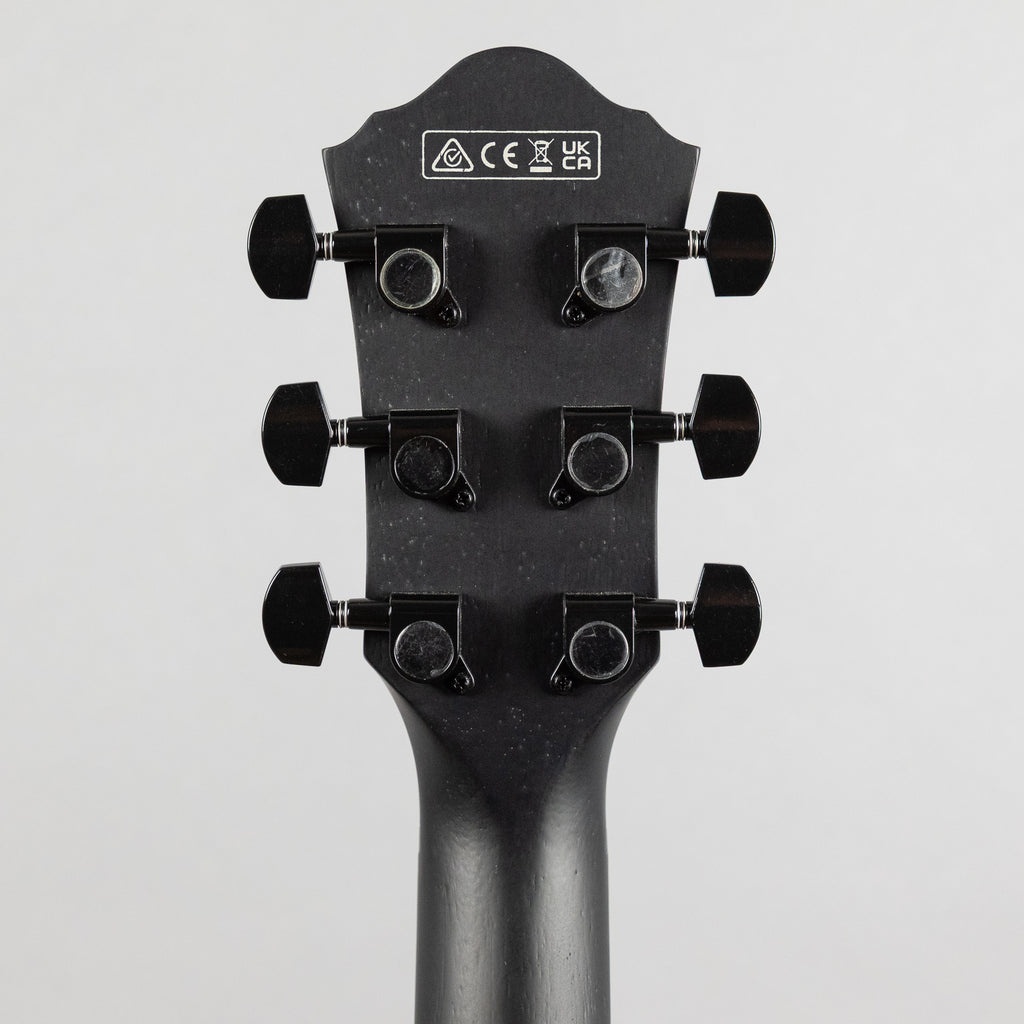 Ibanez AEG621 Acoustic Guitar, Black Out Finish