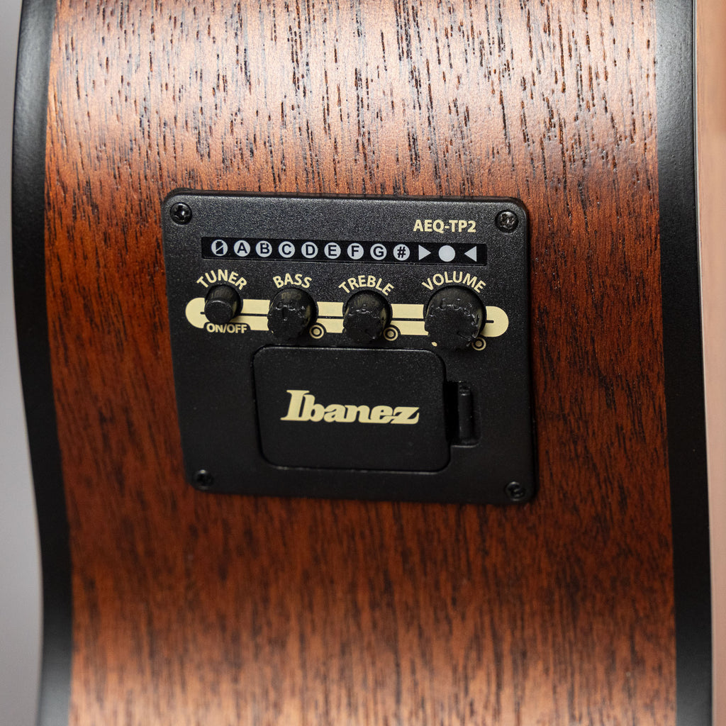 Ibanez AJ54E-OPN Artwood Acoustic Guitar, Open Pore Natural