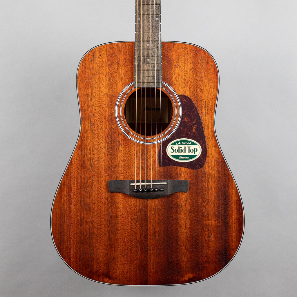 Ibanez AW54 Artwood Acoustic Guitar, Open Pore Natural Finish