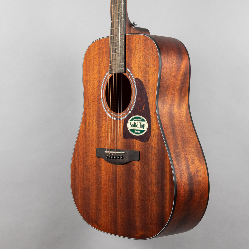 Ibanez AW54 Artwood Acoustic Guitar, Open Pore Natural Finish