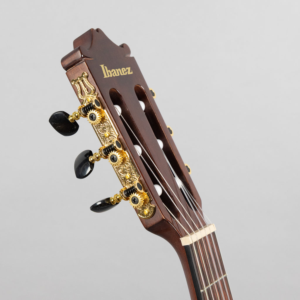 Ibanez GA35TCE Nylon Guitar, Violin Sunburst High Gloss