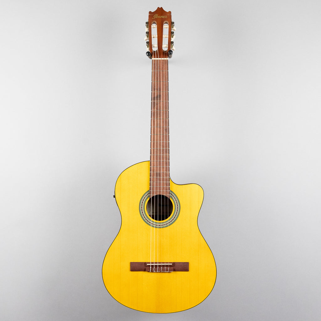 Ibanez GA3ECE Classical Nylon String Guitar, Open Pore Amber