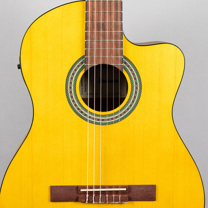 Ibanez GA3ECE Classical Nylon String Guitar, Open Pore Amber