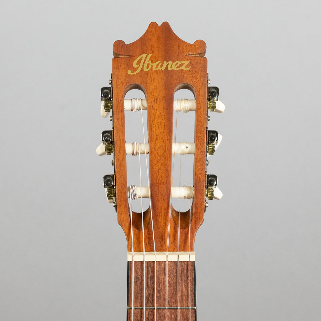 Ibanez GA3ECE Classical Nylon String Guitar, Open Pore Amber