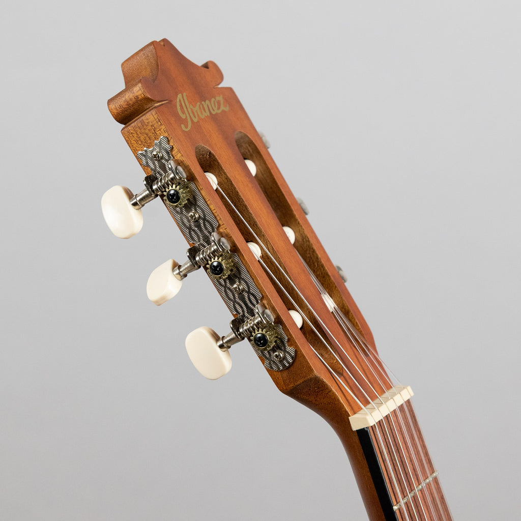 Ibanez GA3ECE Classical Nylon String Guitar, Open Pore Amber