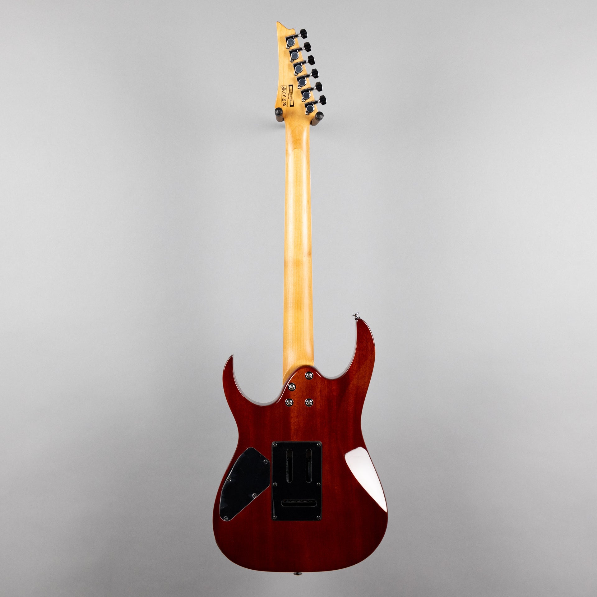 Ibanez GRG220PA1 GIO Series in Transparent Brown Black Burst