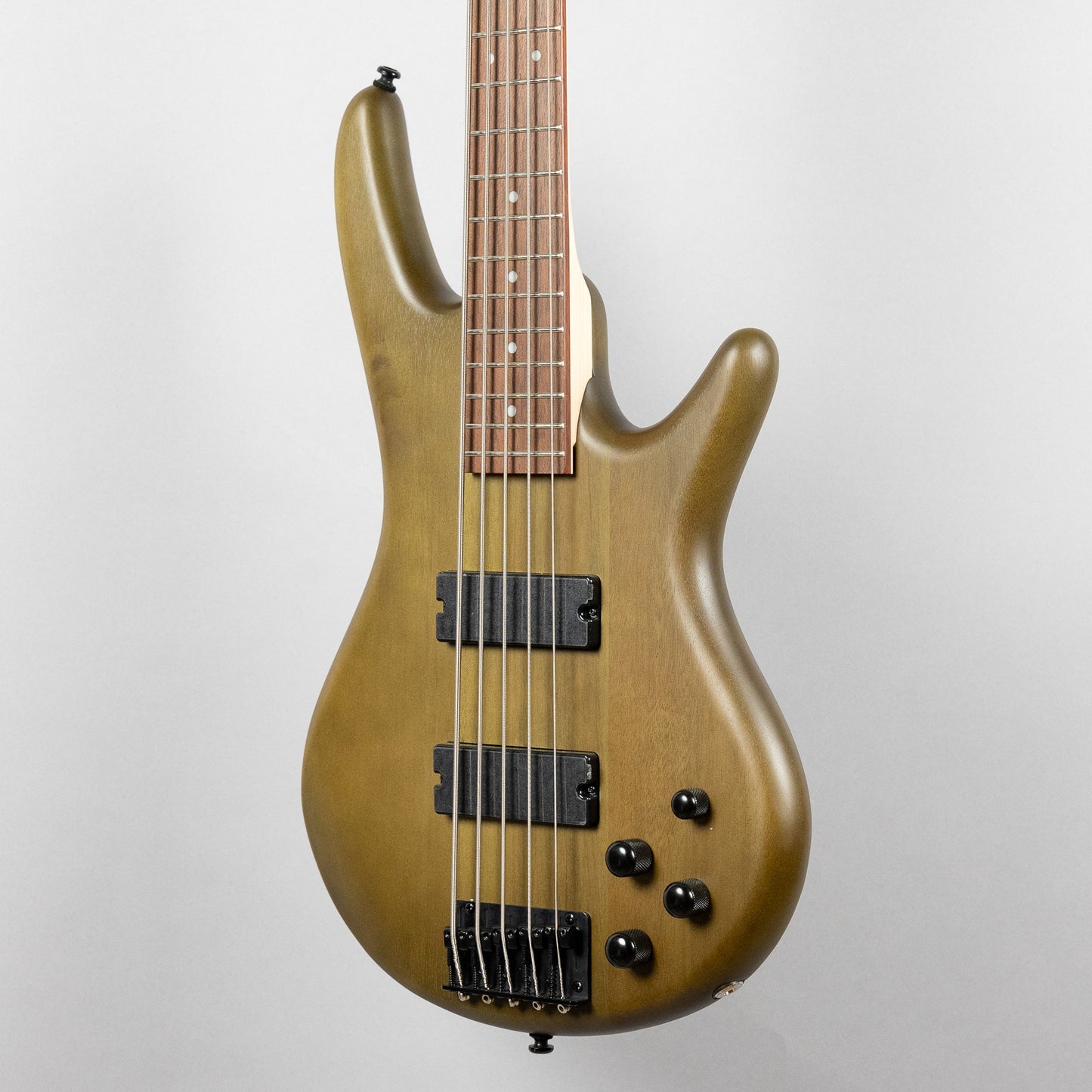 Ibanez GSR205B 5-String Bass, Walnut Flat