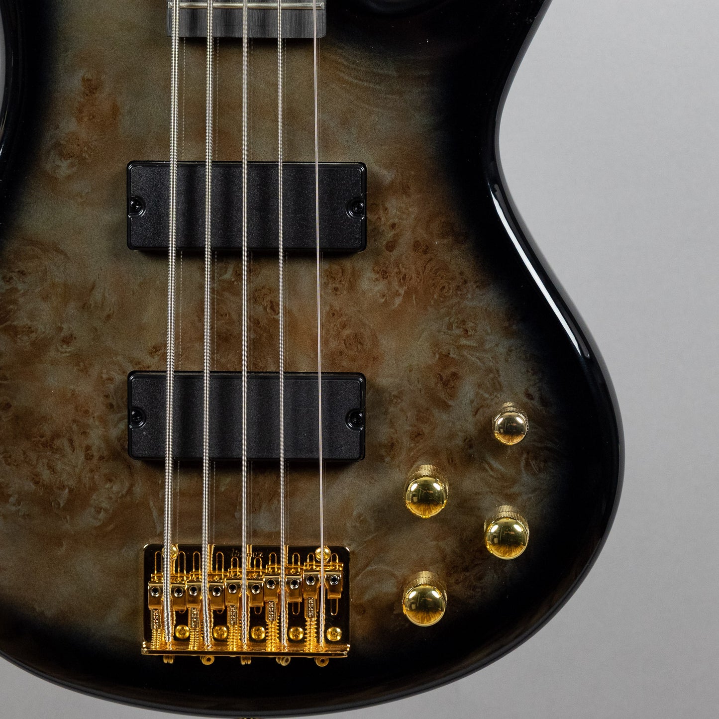 Ibanez GSR205PC SR Gio 5-String Bass, Transparent Pale Black Burst