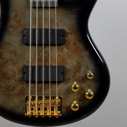 Ibanez GSR205PC SR Gio 5-String Bass, Transparent Pale Black Burst