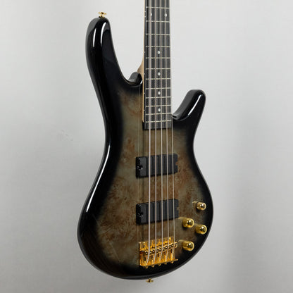Ibanez GSR205PC SR Gio 5-String Bass, Transparent Pale Black Burst