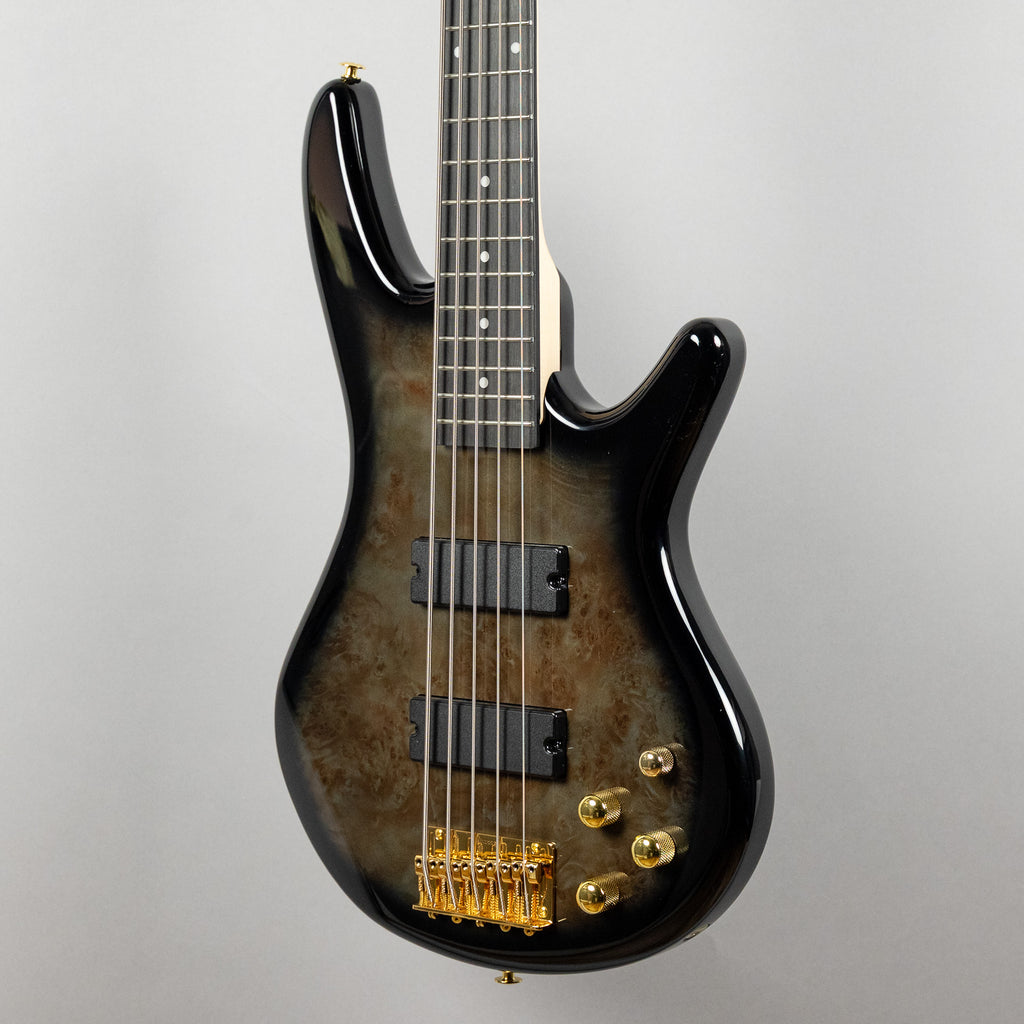 Ibanez GSR205PC SR Gio 5-String Bass, Transparent Pale Black Burst