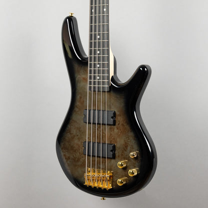 Ibanez GSR205PC SR Gio 5-String Bass, Transparent Pale Black Burst