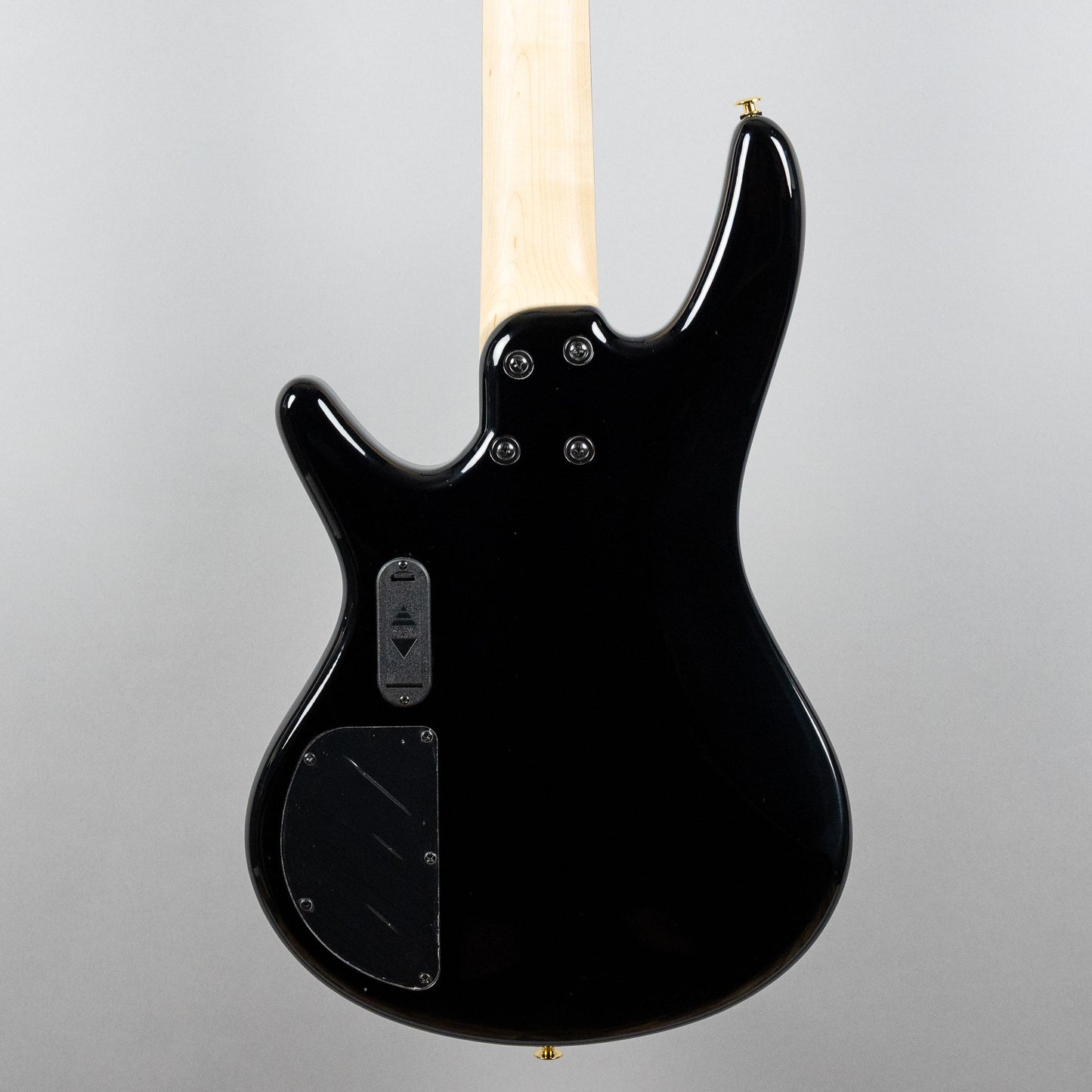 Ibanez GSR205PC SR Gio 5-String Bass, Transparent Pale Black Burst