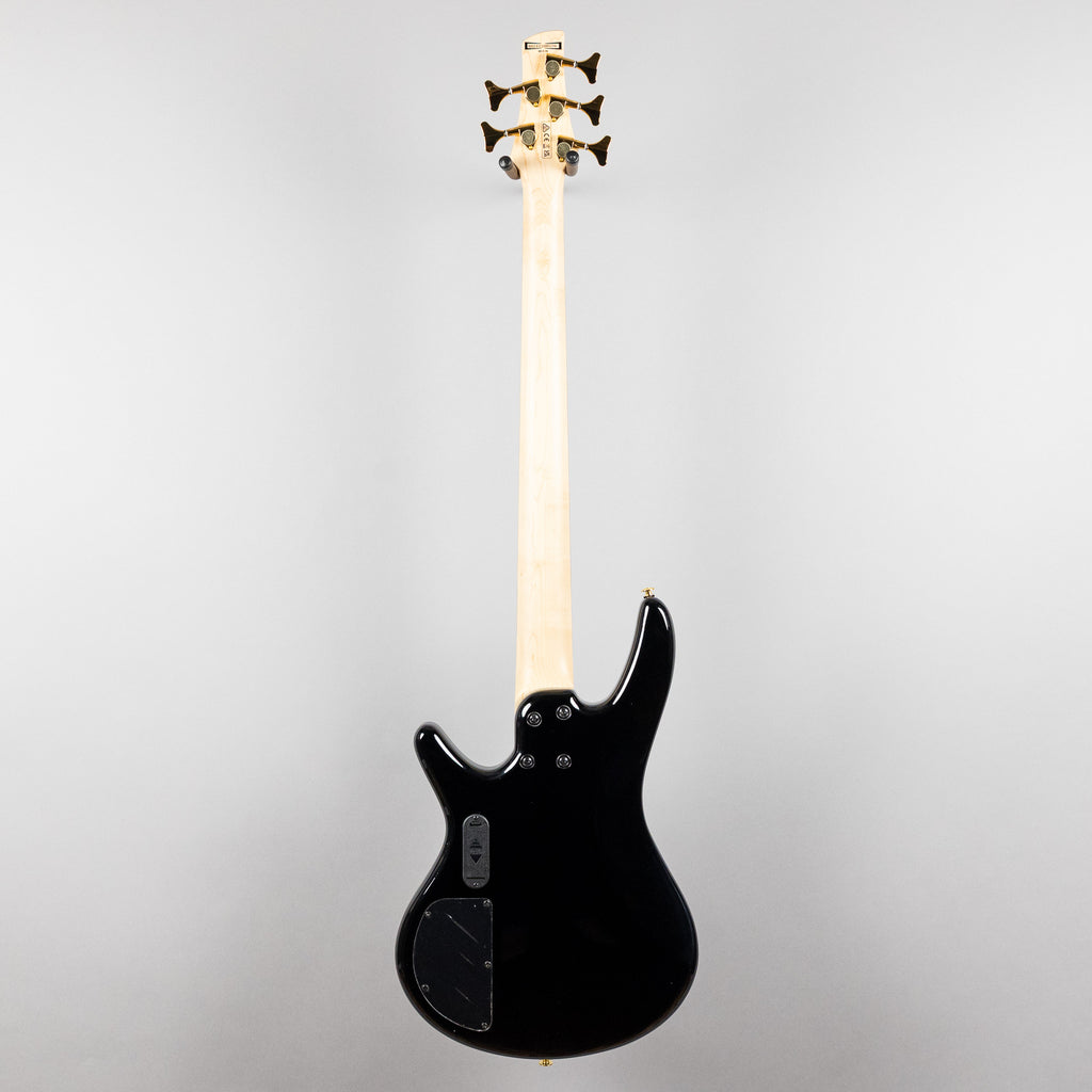 Ibanez GSR205PC SR Gio 5-String Bass, Transparent Pale Black Burst