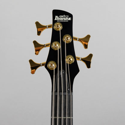 Ibanez GSR205PC SR Gio 5-String Bass, Transparent Pale Black Burst