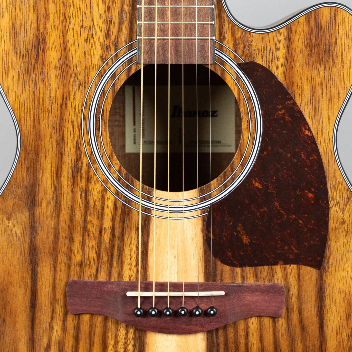 Ibanez PC50WSCE Grand Concert Acoustic, Open Pore Brown