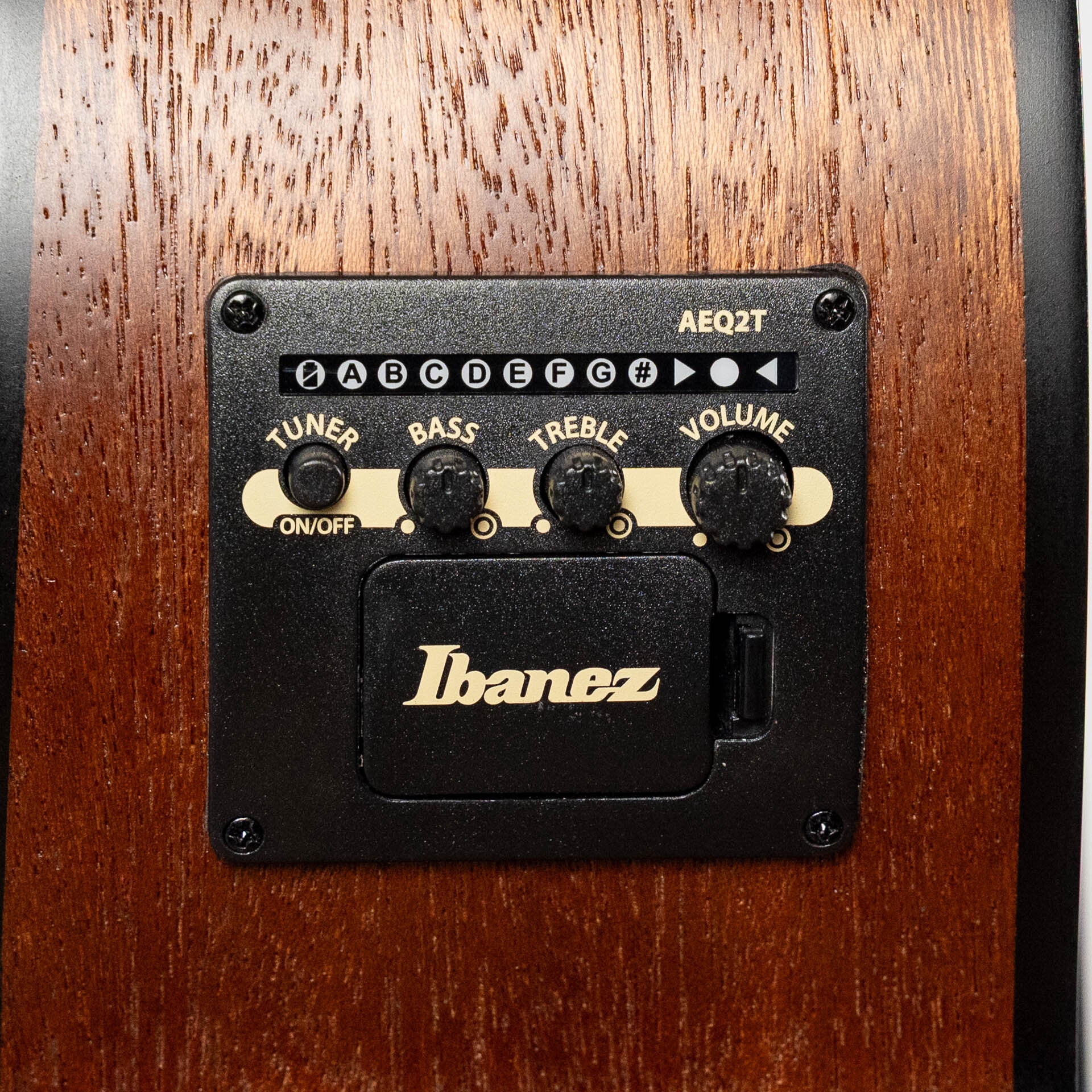 Ibanez PCB54E 4-String Acoustic Bass Guitar, Open Pore Natural