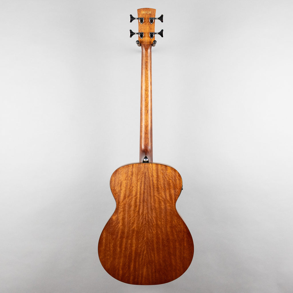 Ibanez PCB54E 4-String Acoustic Bass Guitar, Open Pore Natural