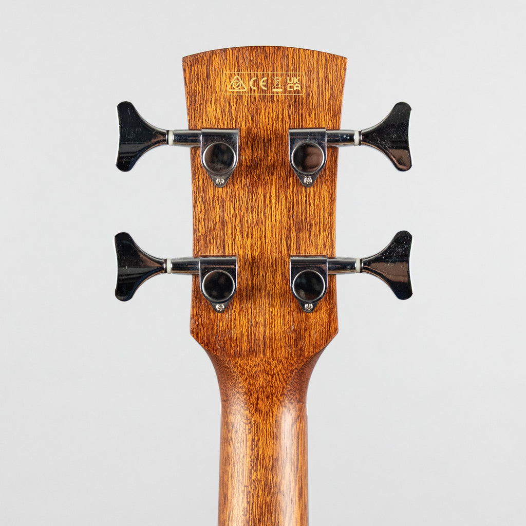 Ibanez PCB54E 4-String Acoustic Bass Guitar, Open Pore Natural