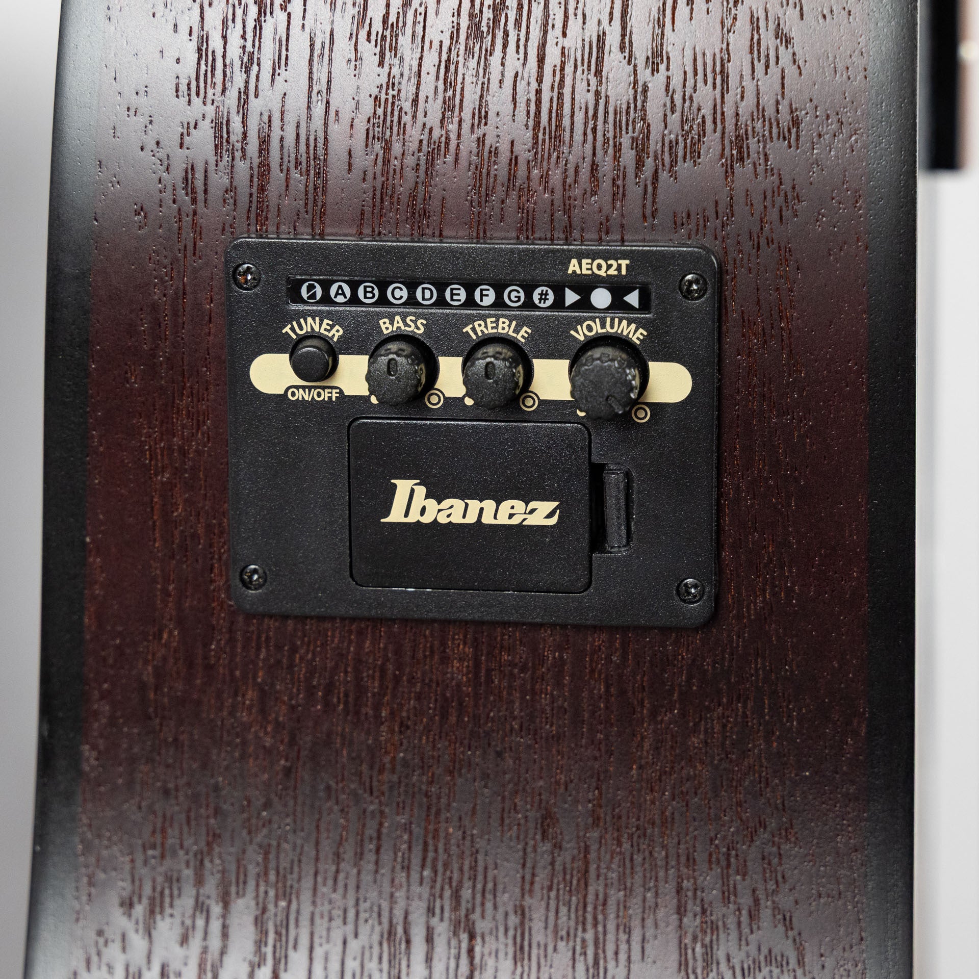 Ibanez PF54CE Dreadnought Acoustic, Weathered Black Top