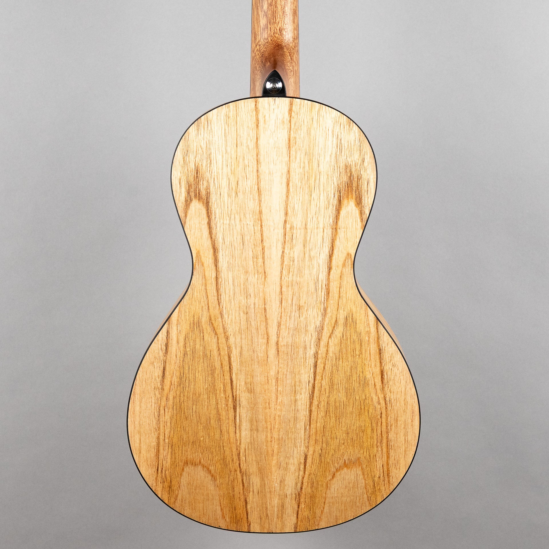 Ibanez PN2MD Parlor Acoustic Guitar, Open Pore Natural