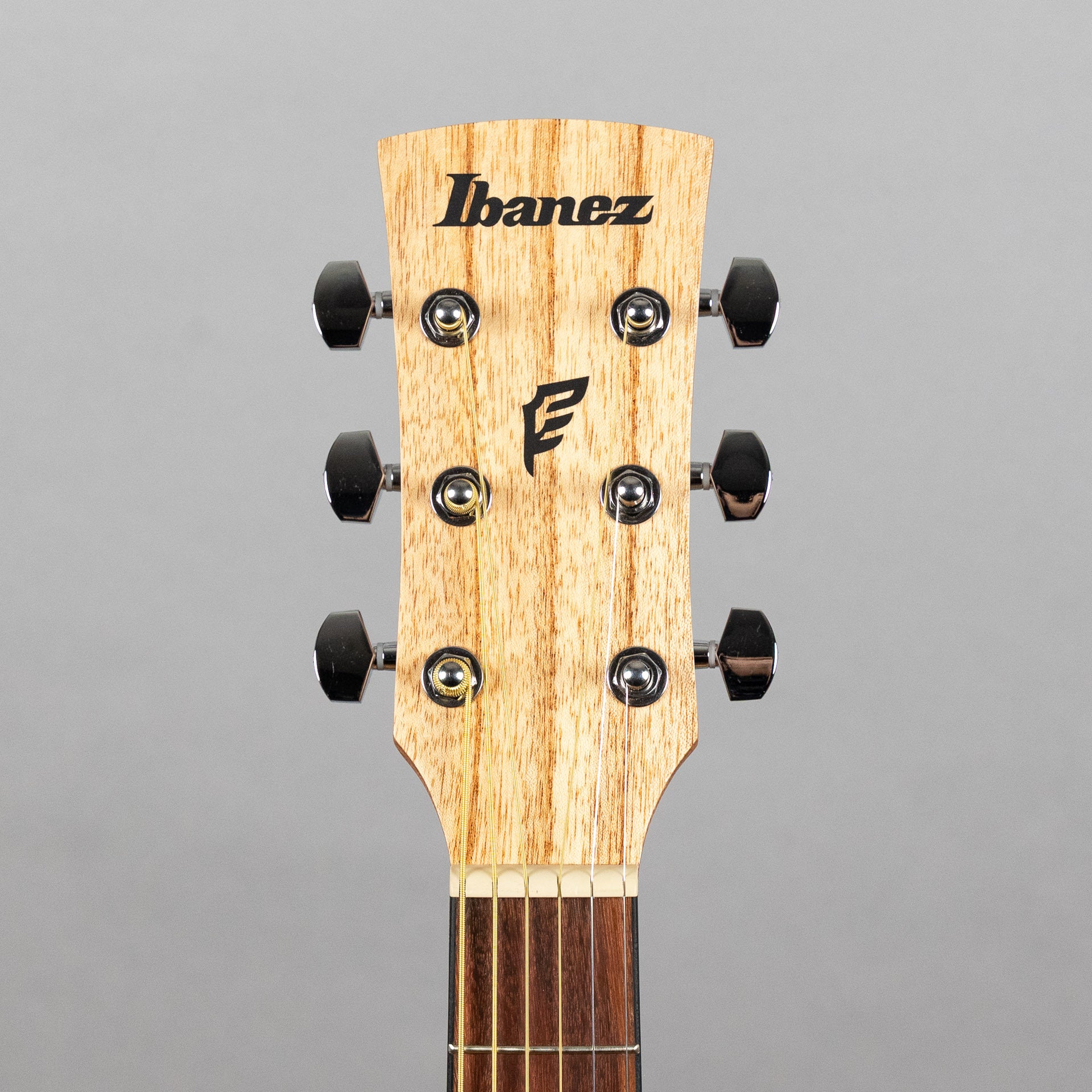 Ibanez PN2MD Parlor Acoustic Guitar, Open Pore Natural