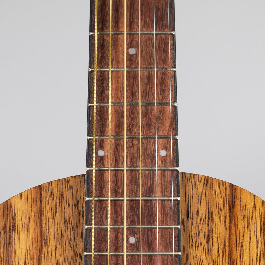 Ibanez PN2WSOPB PF Performance Acoustic Guitar, Open Pore Brown