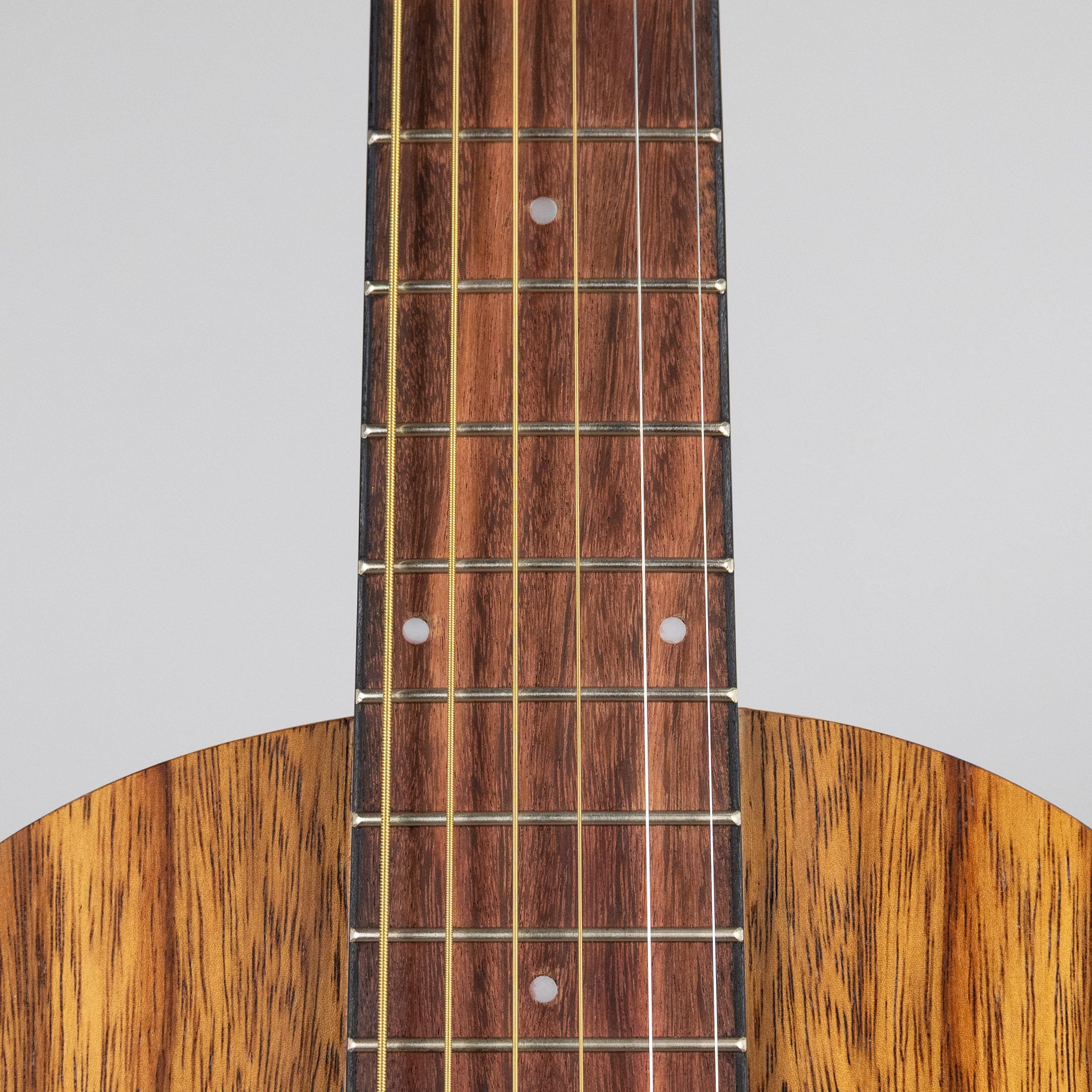 Ibanez PN2WSOPB PF Performance Acoustic Guitar, Open Pore Brown