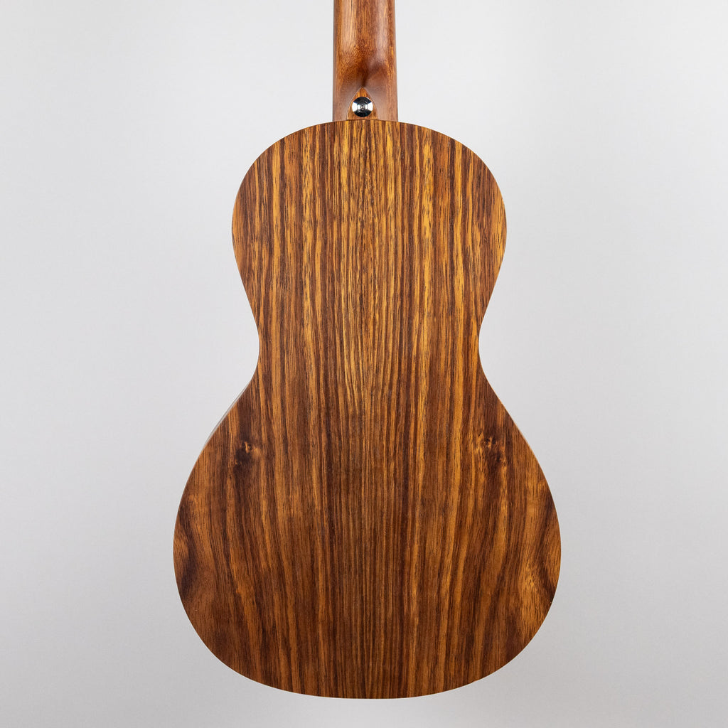 Ibanez PN2WSOPB PF Performance Acoustic Guitar, Open Pore Brown