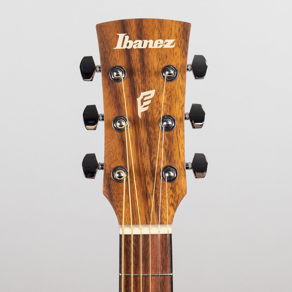 Ibanez PN2WSOPB PF Performance Acoustic Guitar, Open Pore Brown